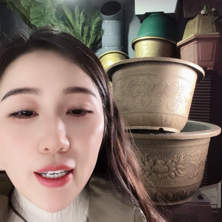 圆83口径花盆一个