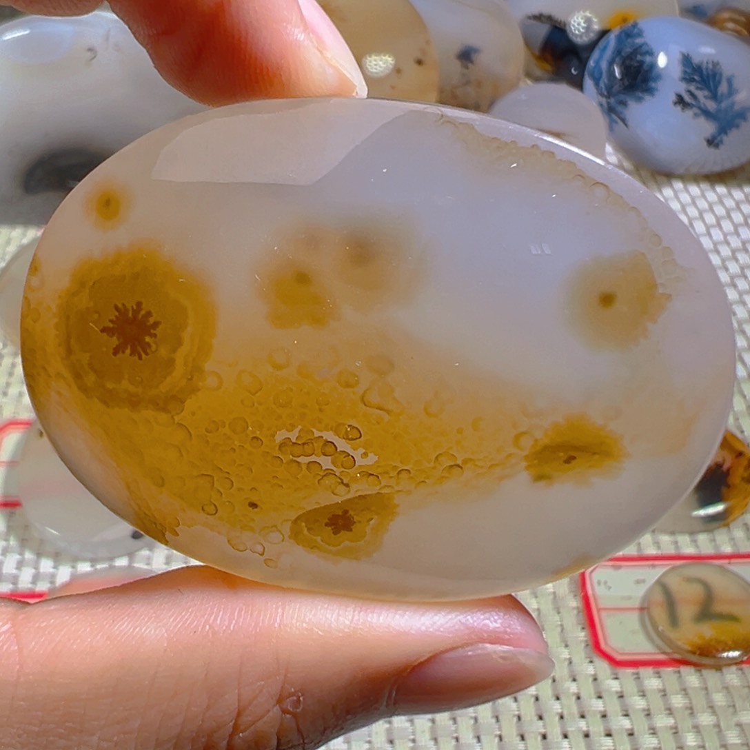 玛瑙/玉髓颈饰未镶嵌
