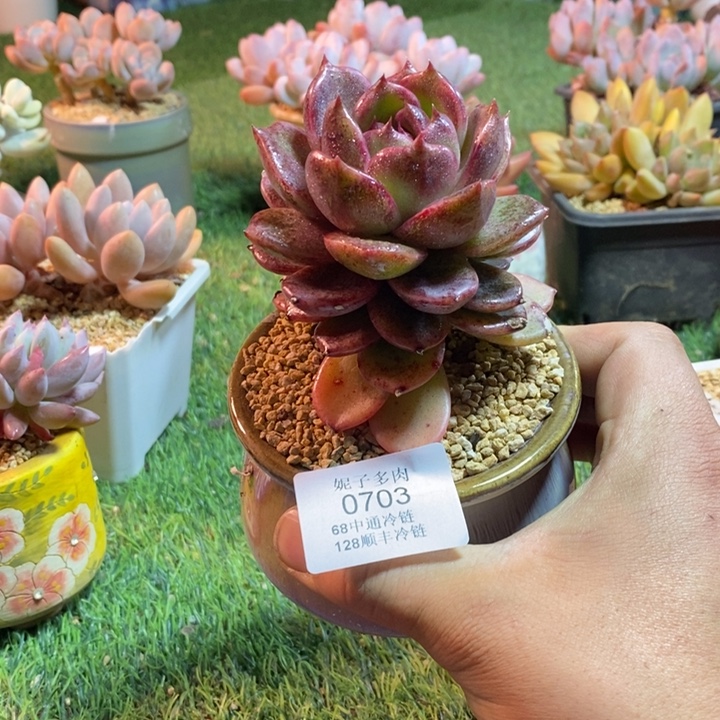 0703啊啊啊啊啊啊啊啊啊啊啊