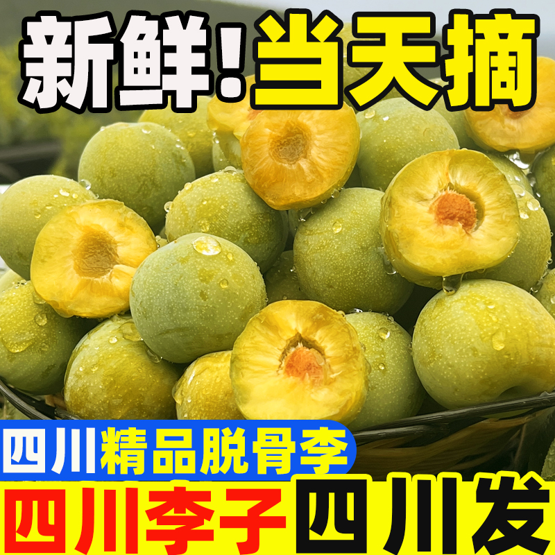 正宗四川脱骨青脆李新鲜水果土李子儿时味道