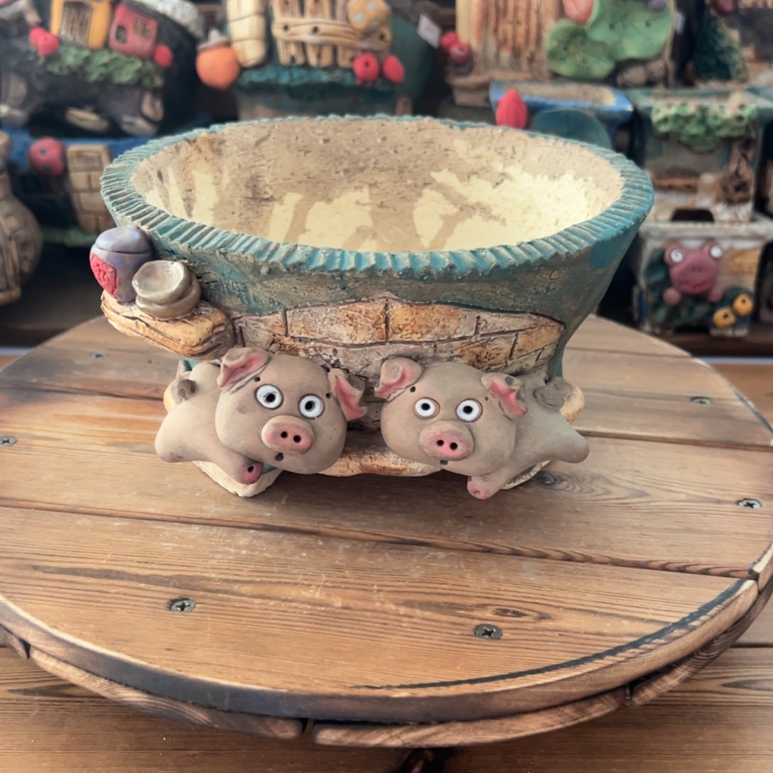 红陶嘻哈多肉花盆