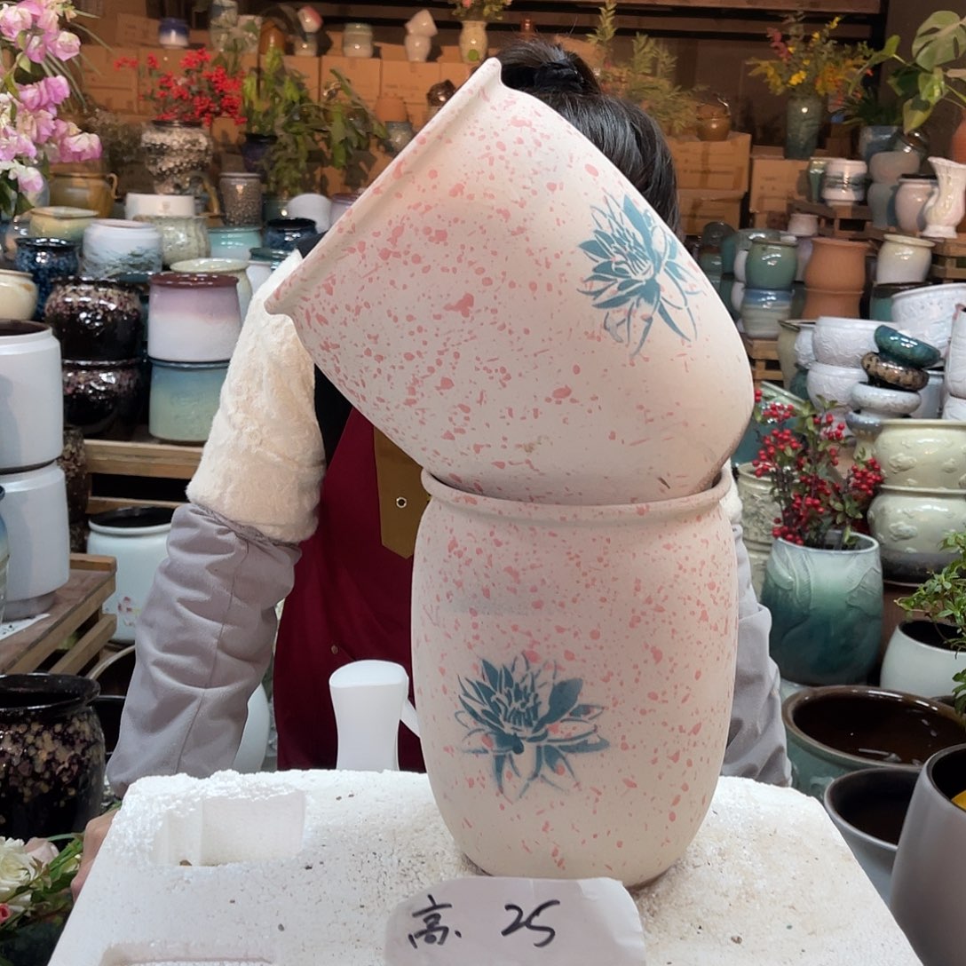 红陶高度25口径19