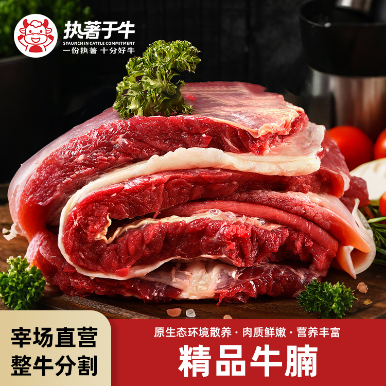 新鲜食材精品牛腩肉3斤萝卜炖牛腩广式牛腩煲吊龙牛杂软烂炖牛肉