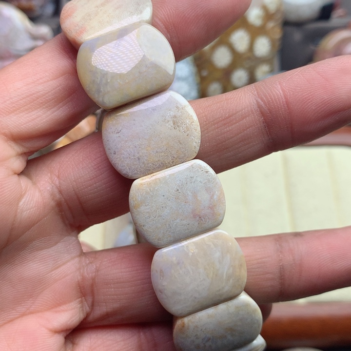 硅化珊瑚（珊瑚玉）颈饰未镶嵌