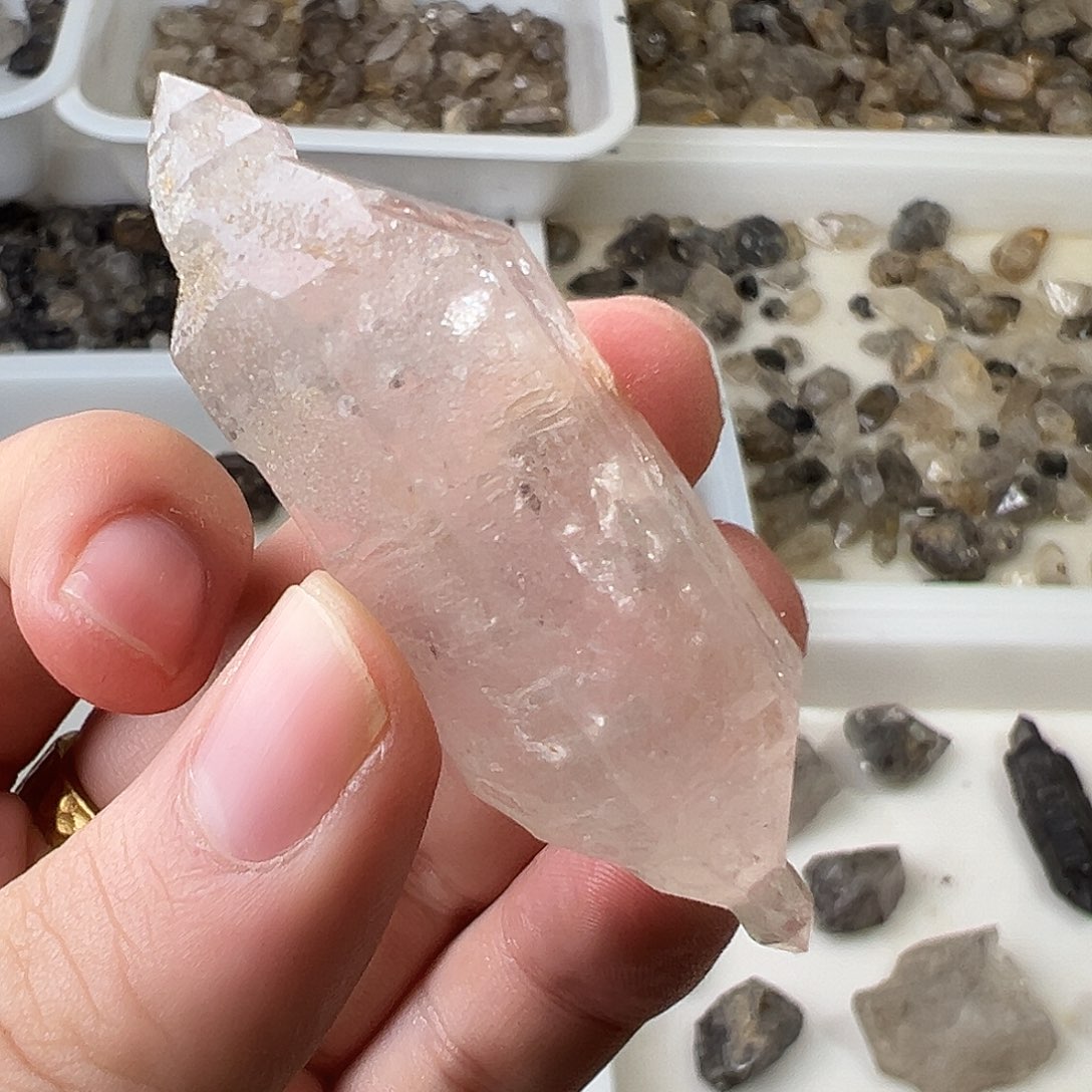 37闪灵啊姐一步到位