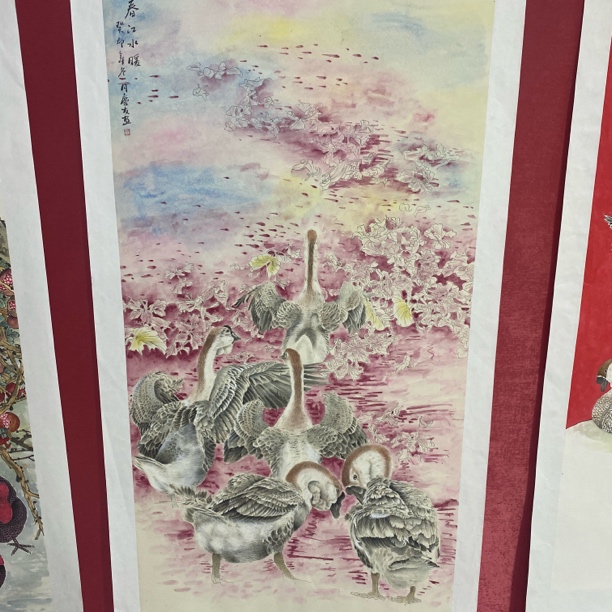 李老师四尺入册同款大鹅