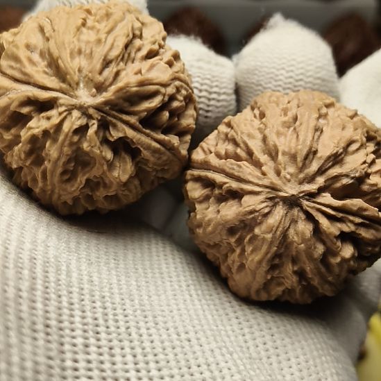 文玩核桃吊坠大楸核桃3号