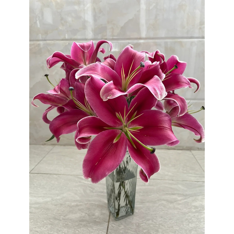 【大聪明卖花】中国红香水百合 任意2单鲜花包邮 发货后不支持退款