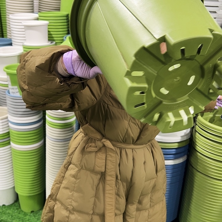 清仓青山口32高28果绿5只无托