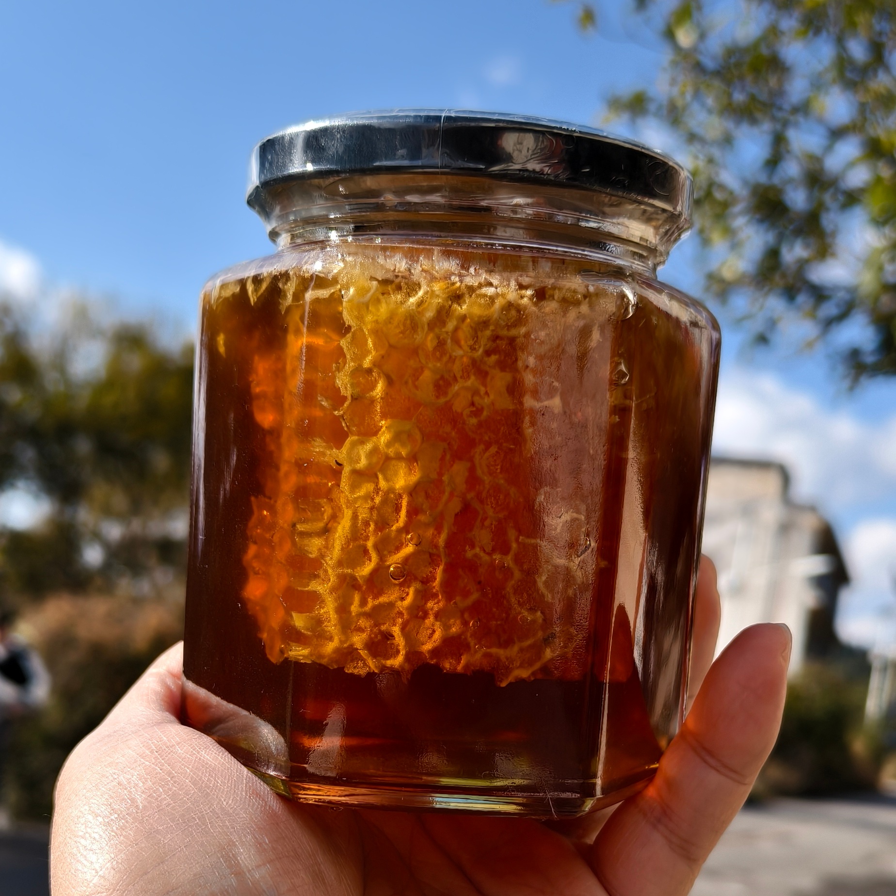 云南百花蜜蜂巢500g 土蜂蜜 农家天然蜂蜜蜂巢