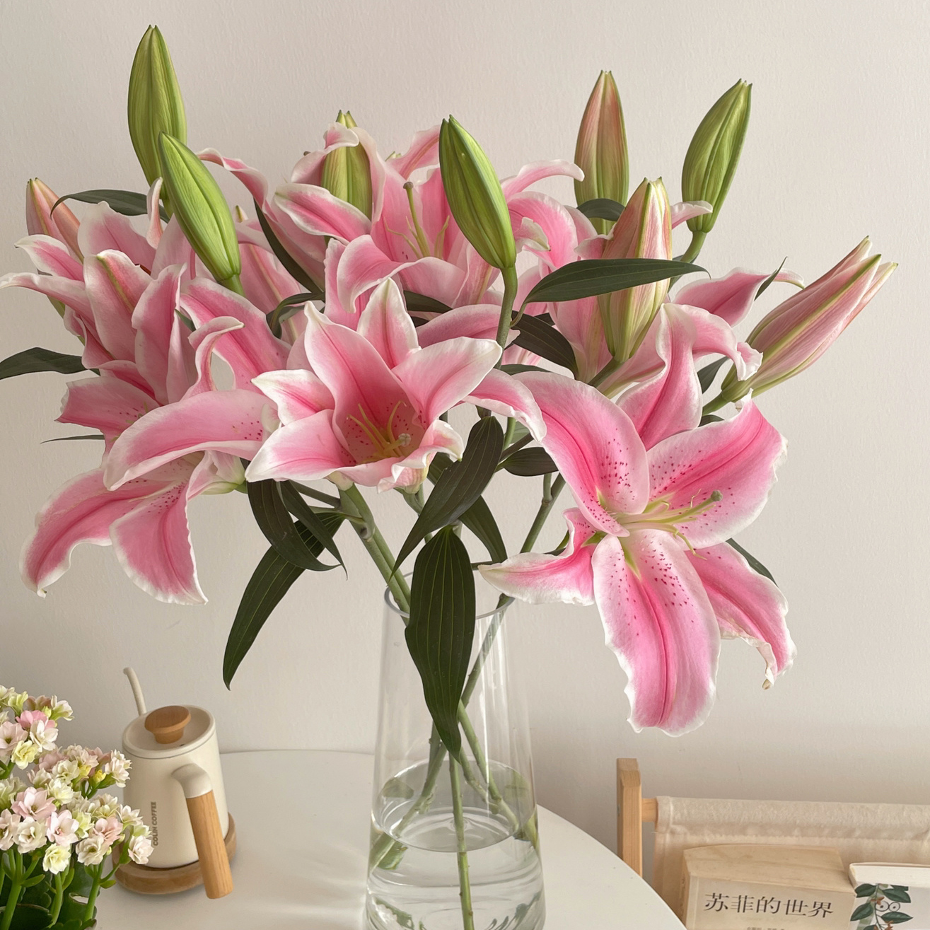 【春节新年家居花】5枝多头百合鲜花（简单包装/非礼品花束）春节家居花过年装饰客厅鲜花小时达鲜花订购同城配送