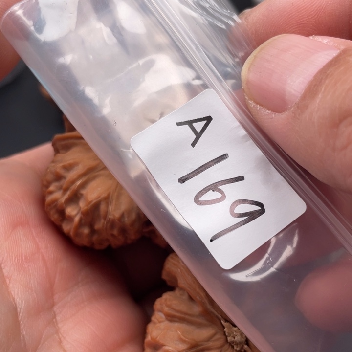 文玩核桃吊坠顺*⑉白狮子41