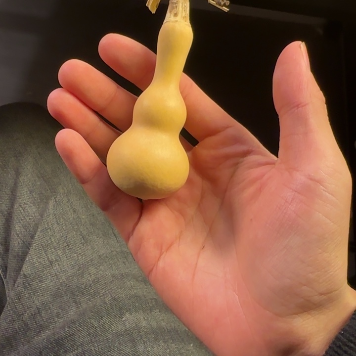 T***J大叶紫檀（黑酸枝木类）