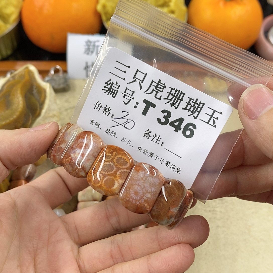 硅化珊瑚（珊瑚玉）1未镶嵌柠**•