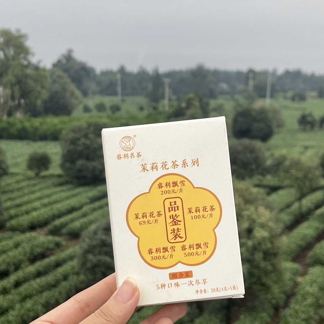 茉莉花茶 明前绿茶 高山红茶 各个价格品鉴装