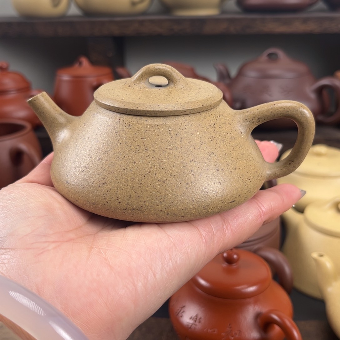 紫砂茶壶全手任瓢170毫升