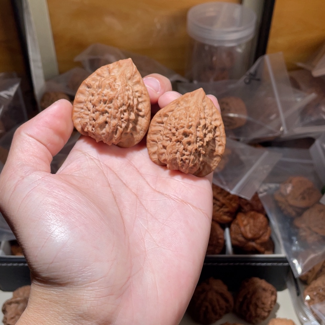 41尺寸全品无修朱雀