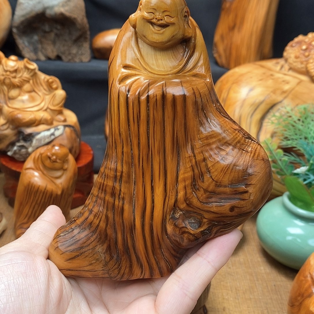 柏木（崖柏）一物一图