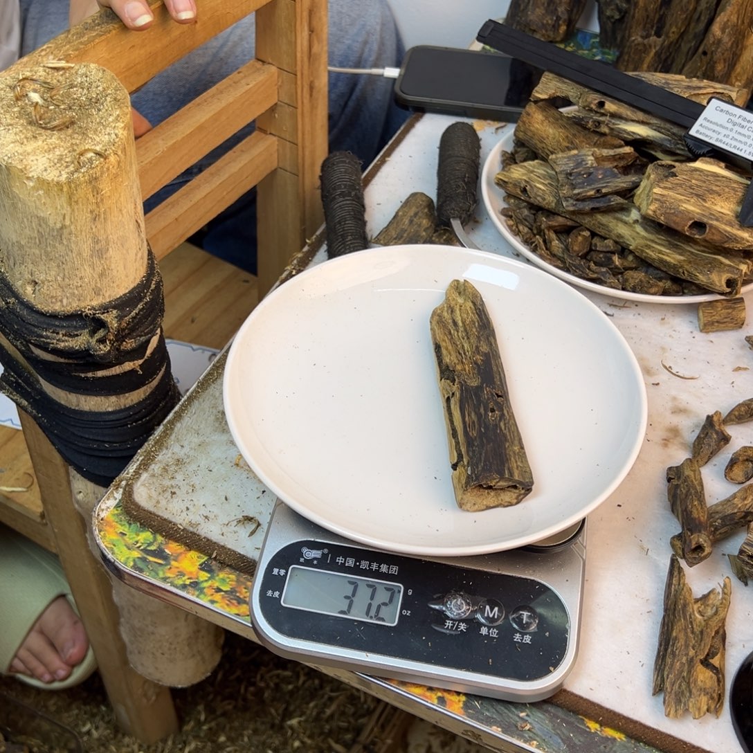 线香奇楠虫漏香37克