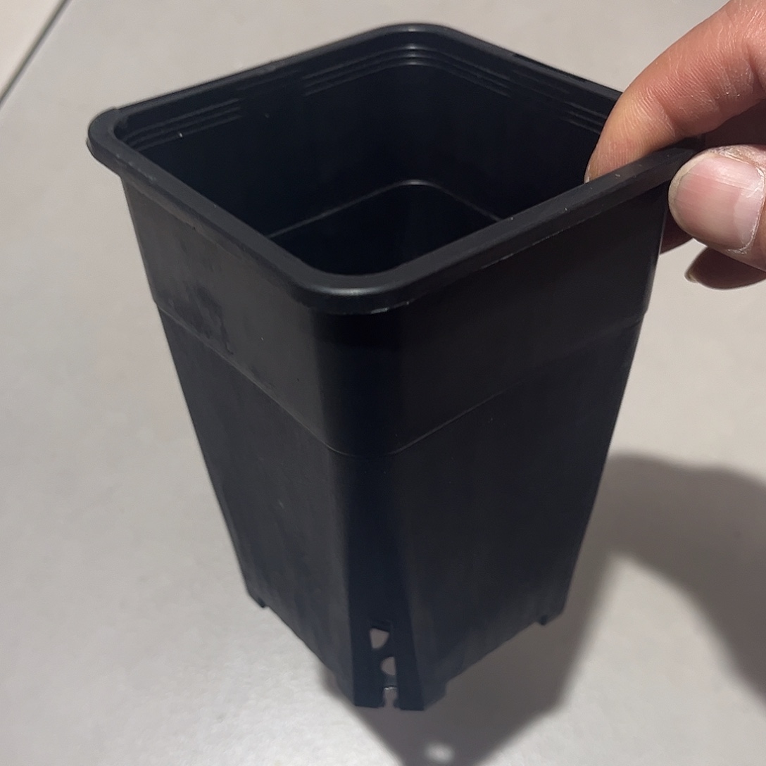 中厚高方口10高14黑盆10个无托