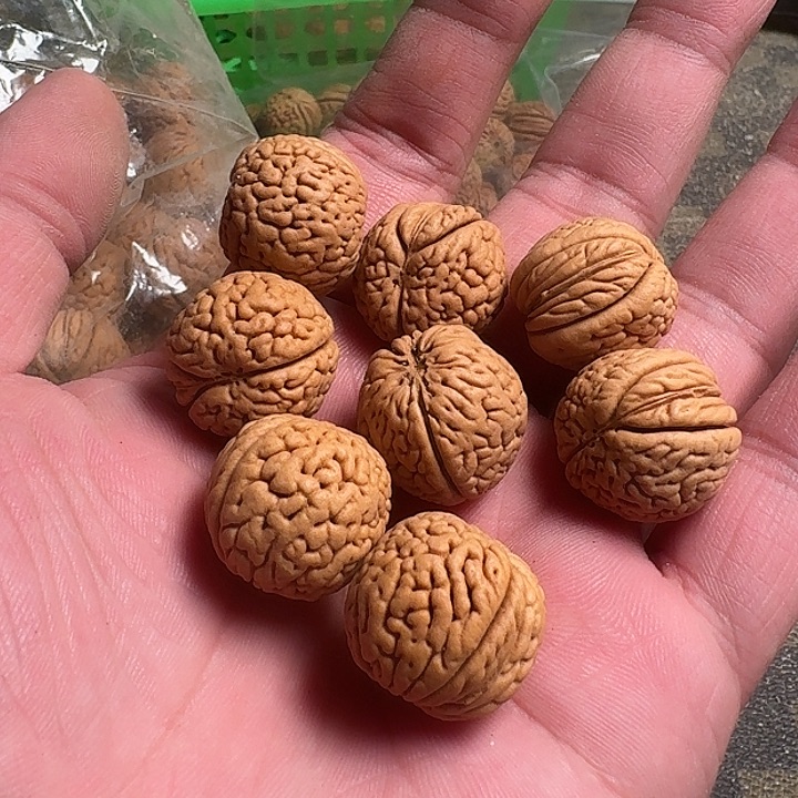 喵***O桃核吊坠666666666666