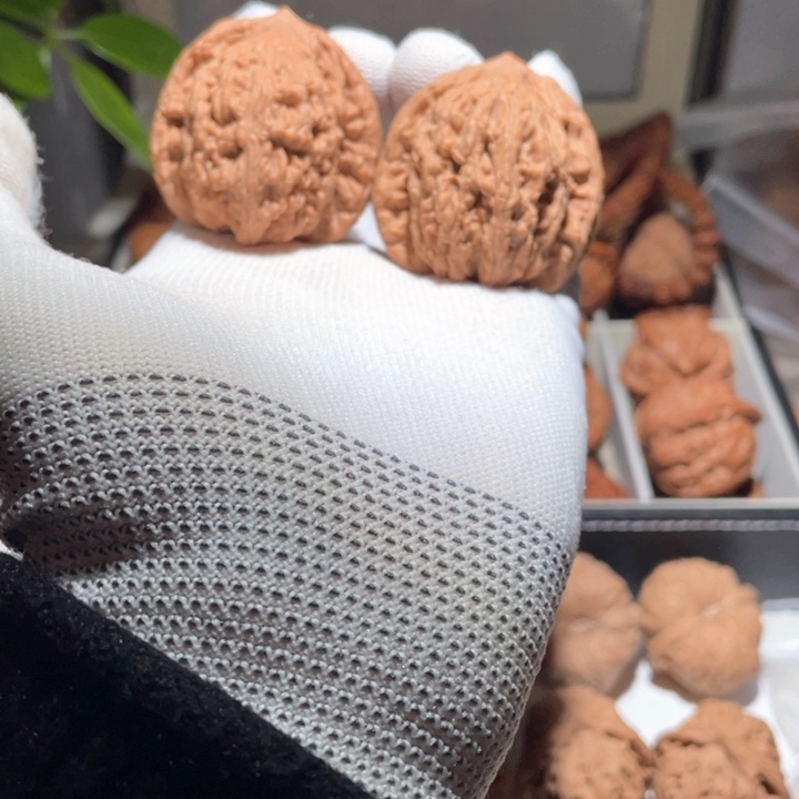 免****厂41全品无修蓟县麦穗虎头