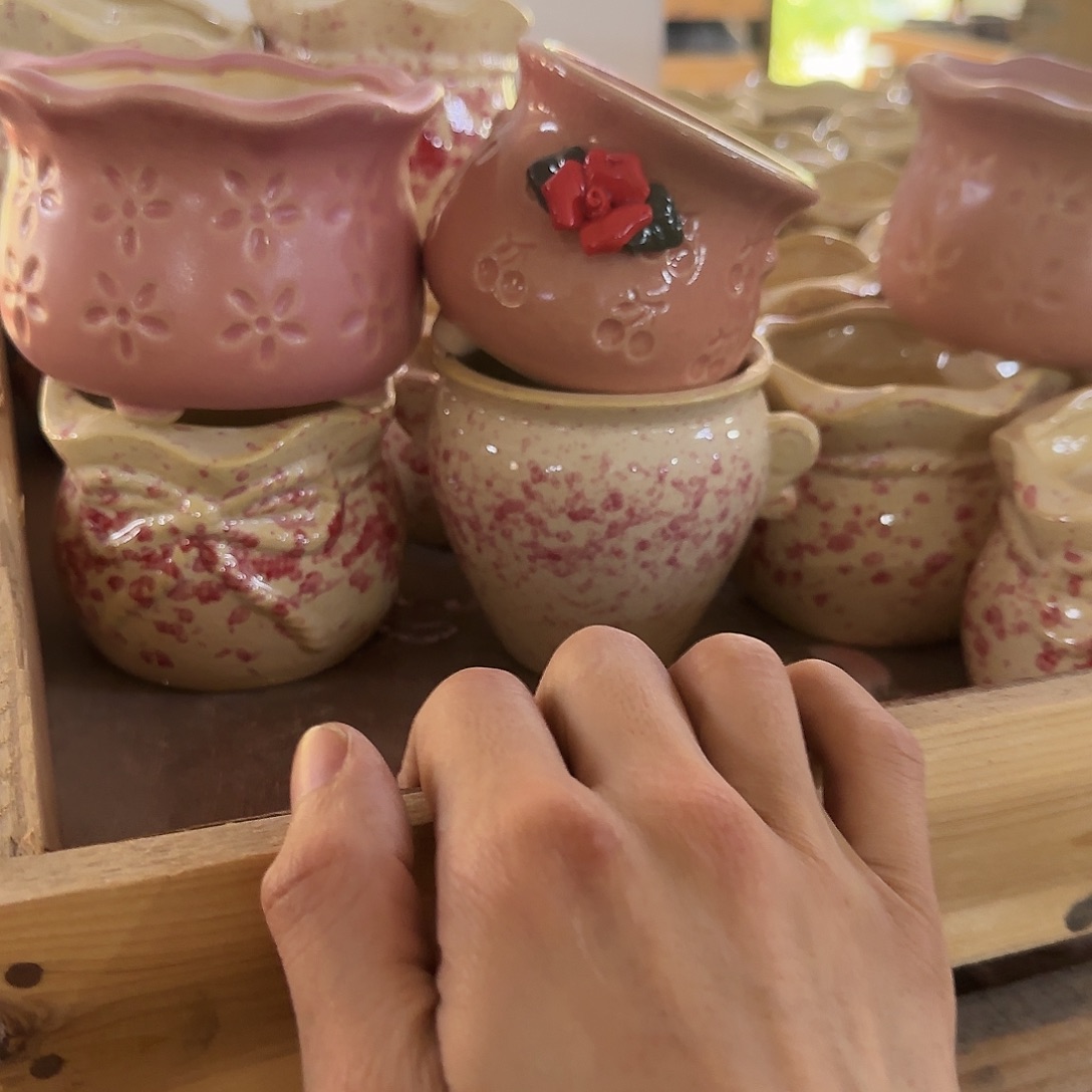 4个福利局绿植多肉盆［凑9元包邮24小时发］