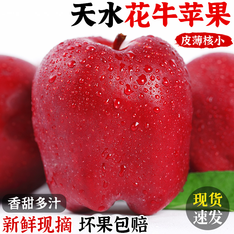 甘肃天水苹果当季新鲜水果脆粉两吃适合宝宝老人辅食花牛苹果