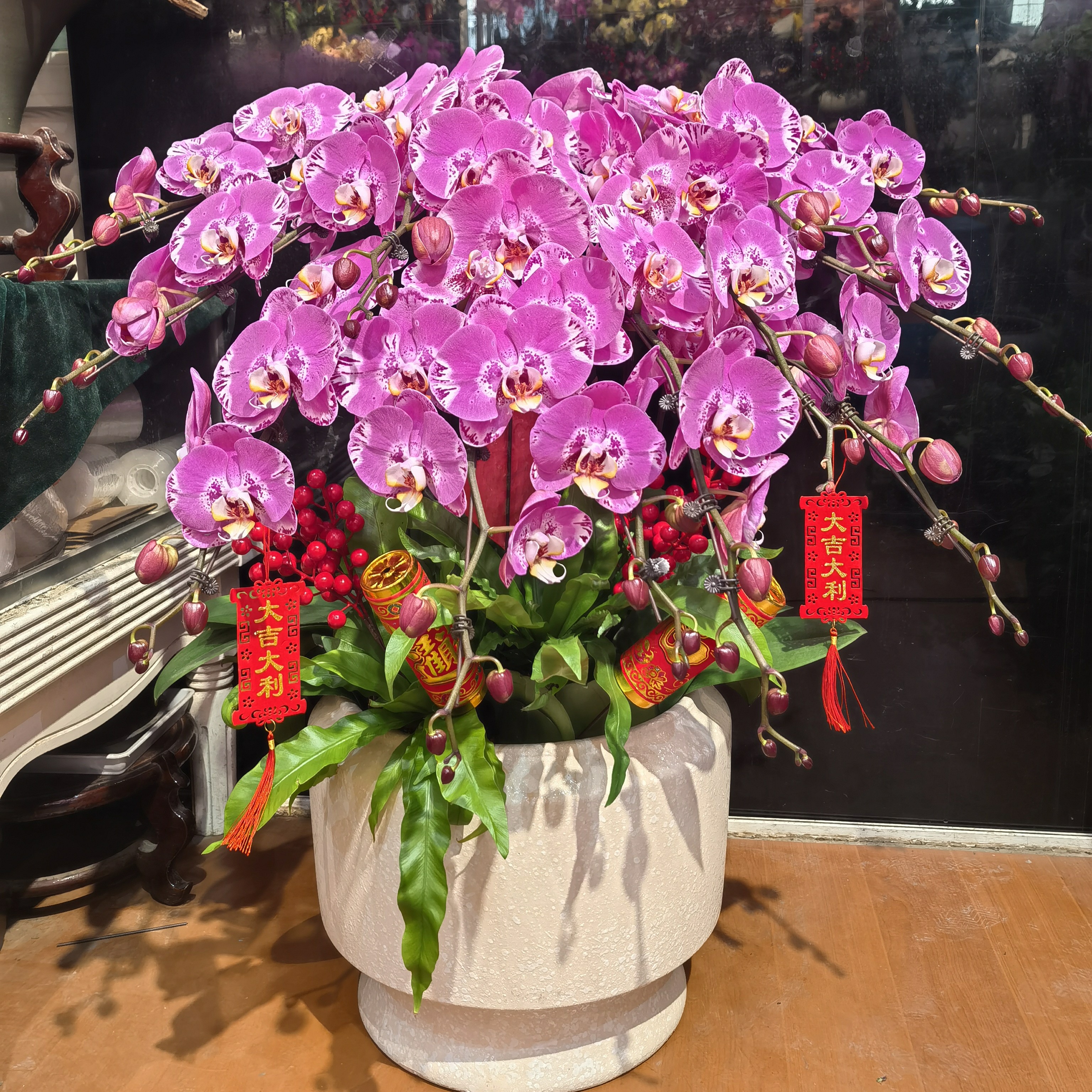 上海蝴蝶兰盆栽鲜花礼品开张乔迁生日礼物小时达免费配送