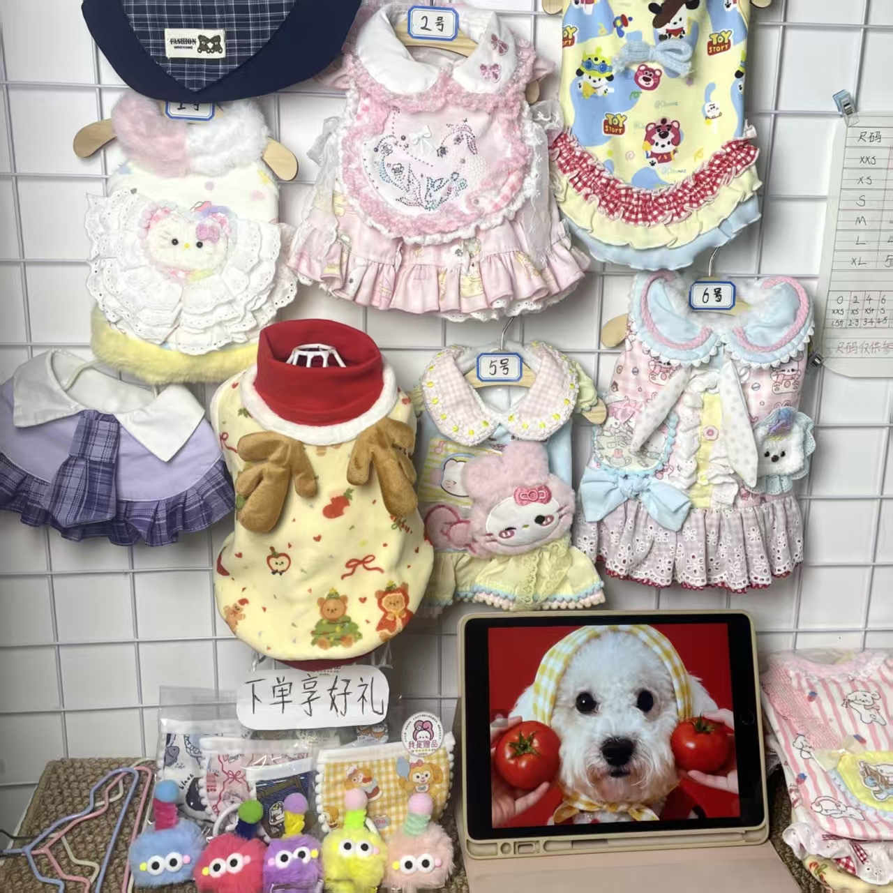 【直播间下单专用】宠物服饰No退No换，无运费险确认好胸围背长下单