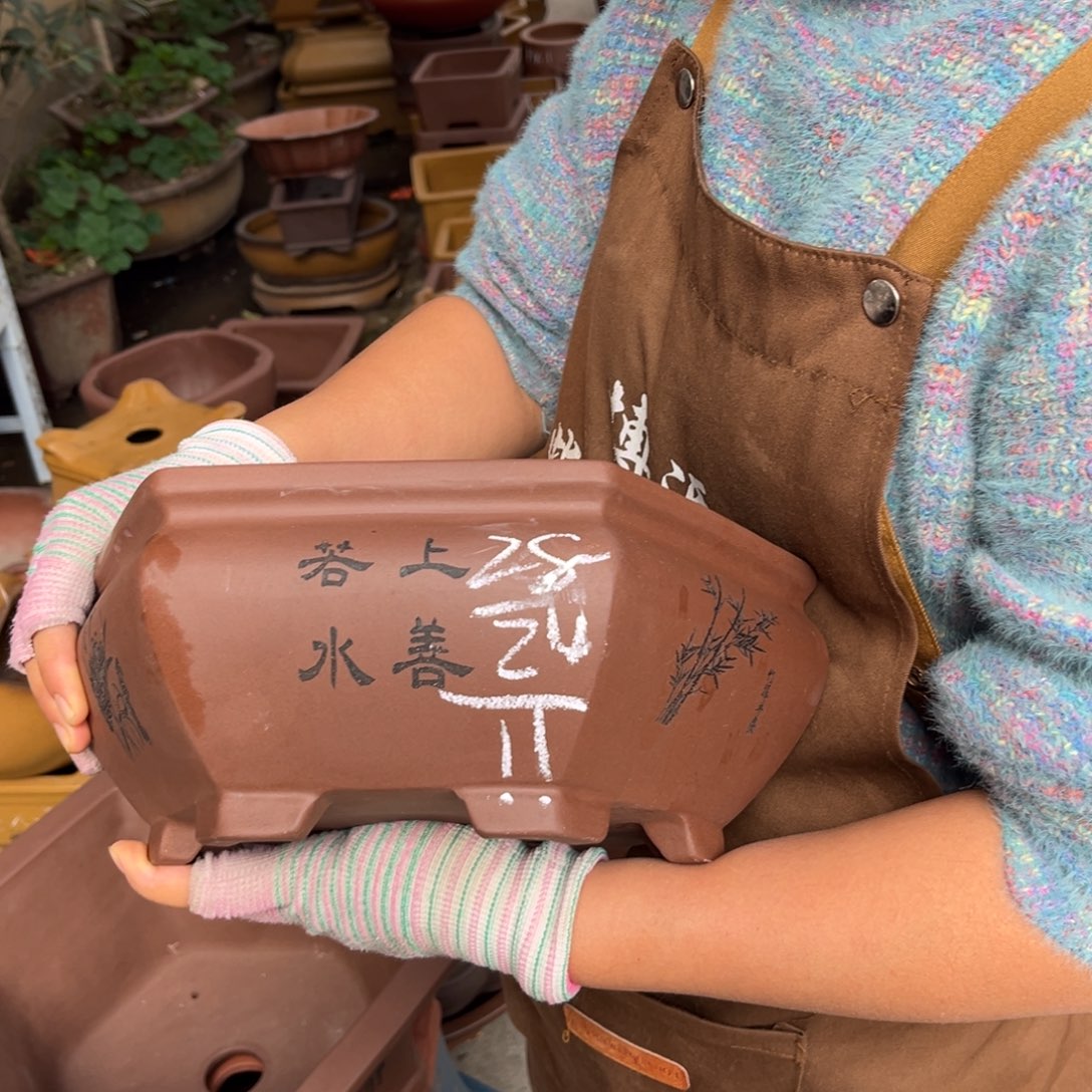 紫砂花盆盆景艺术