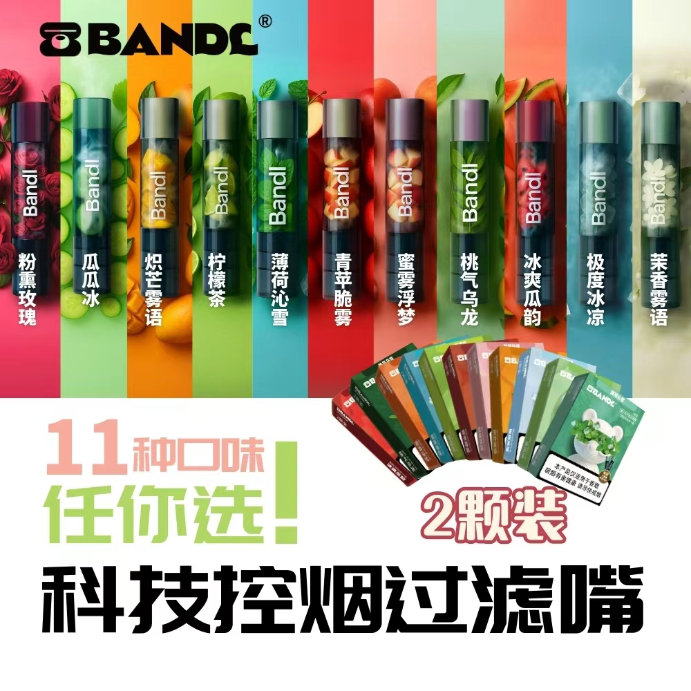 笨初初果味吸棒滤嘴粗中细通用清新口气减少危害清凉高档便携吸棒