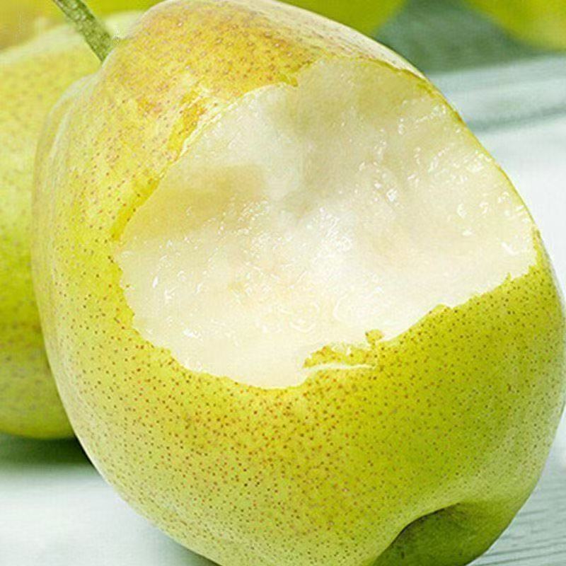（库尔勒直发）正宗新疆库尔勒香梨当季新鲜水果脆甜多汁5斤