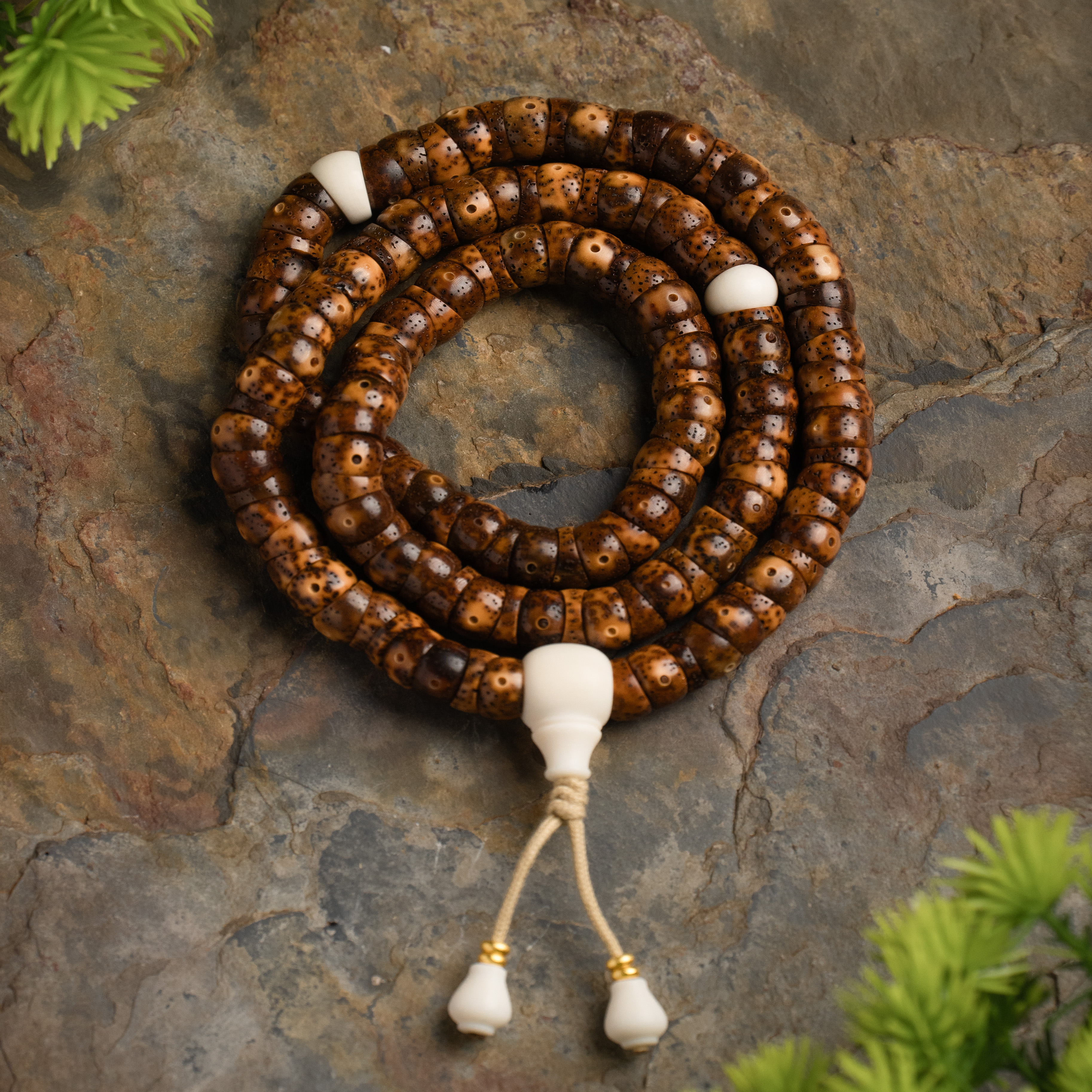 酸儿文玩精工级中珀花皮桶形大肠星月老陈籽9*6长串