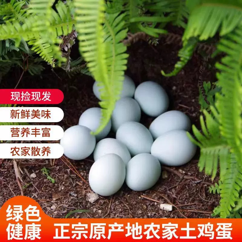 【绿壳蛋】农家散养新鲜乌鸡蛋