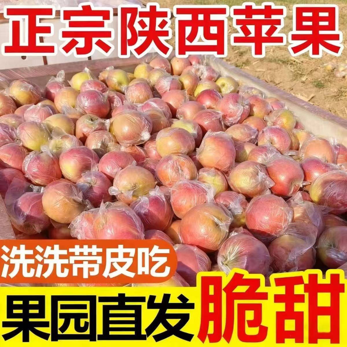 陕西高山冰糖心丑苹果红富士新鲜应季水果脆甜多汁原生态产地直发
