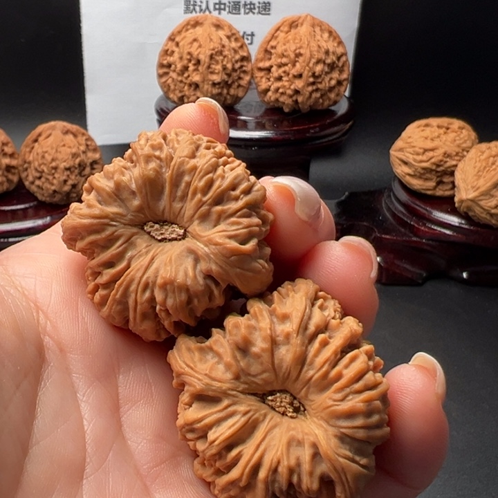 小*民17号老树天蚕拉丝纹