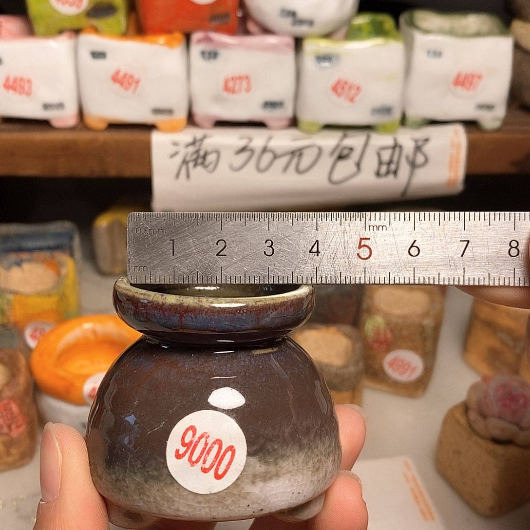 红陶拍5送一个小