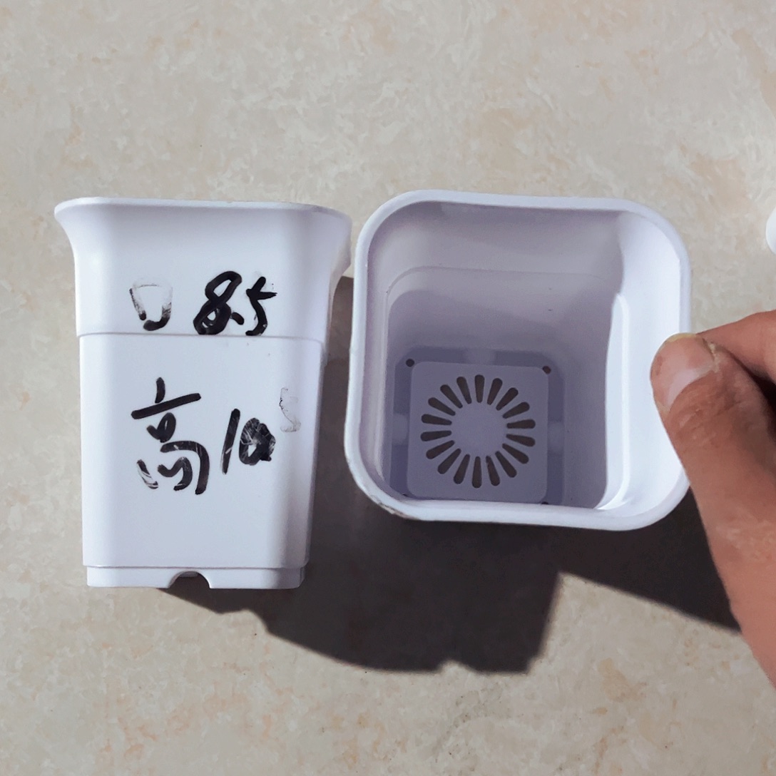 塑料加厚口8.5万象白色盆10个无托