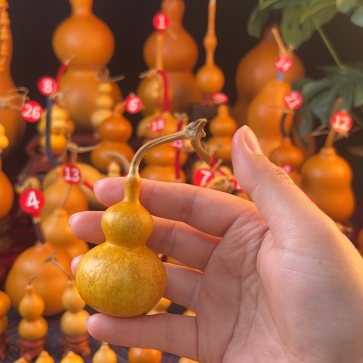 随***@画皮葫芦链接链接链接