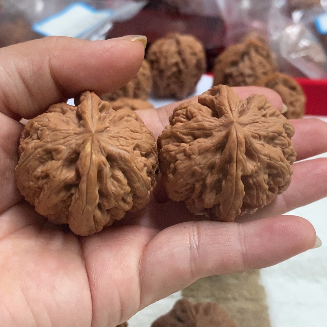 东***雨菩提粗筋麻核桃粗筋麻核桃