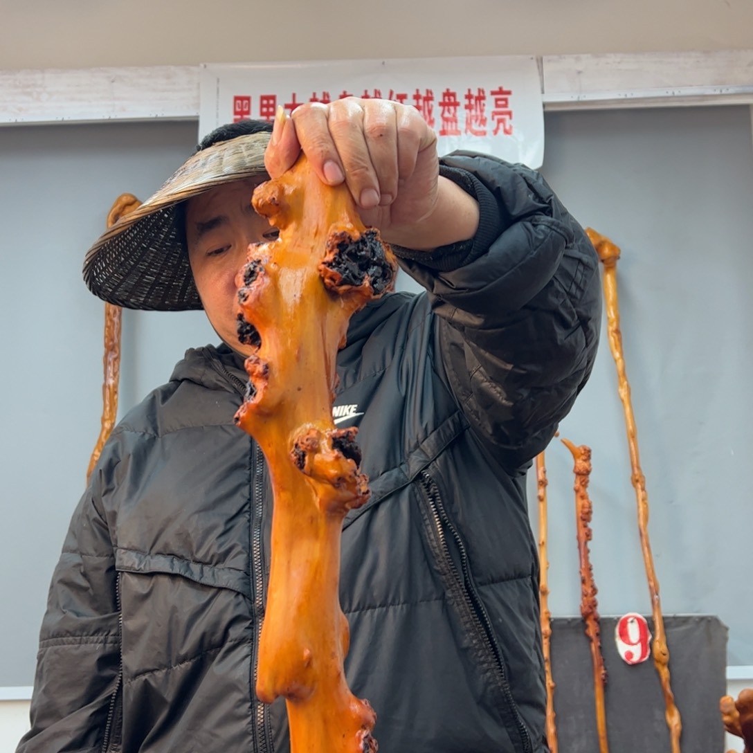 黑果木其他黑果木622