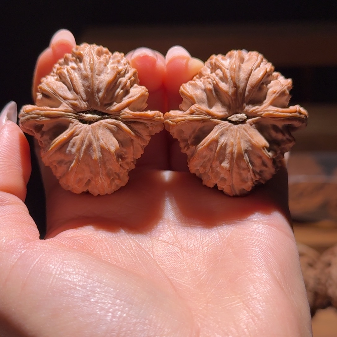 一***十吊坠文玩核桃40角白