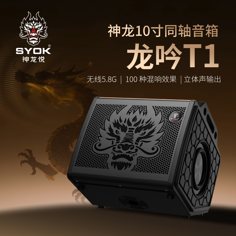 神龙龙吟T1专业户外600w大功率弹唱k歌直播乐器音响音箱