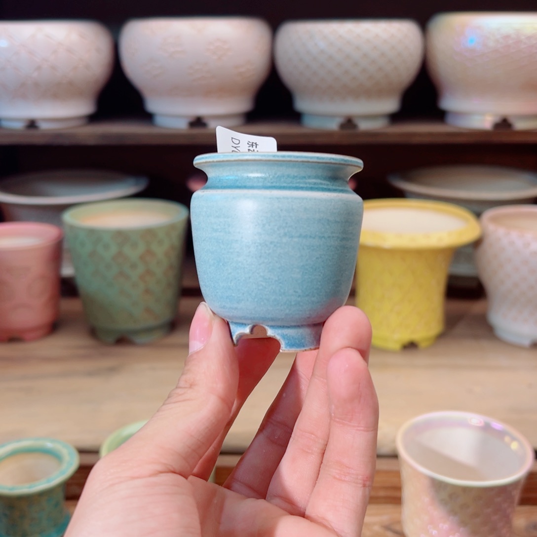 瓷片dy0305-123XXS蜜罐