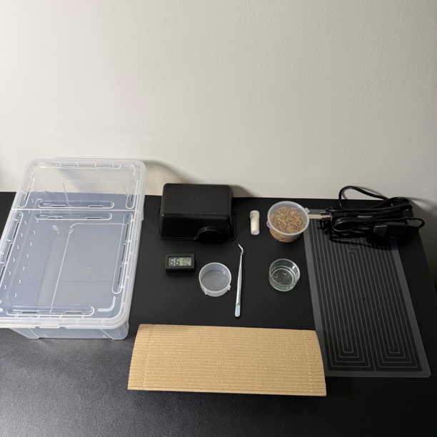 爬宠饲养套装自选