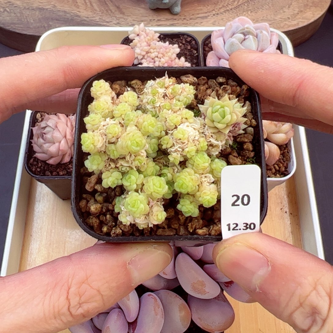 好好看20、哈哈哈哈