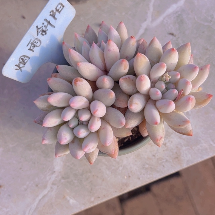 健健康康平平安安