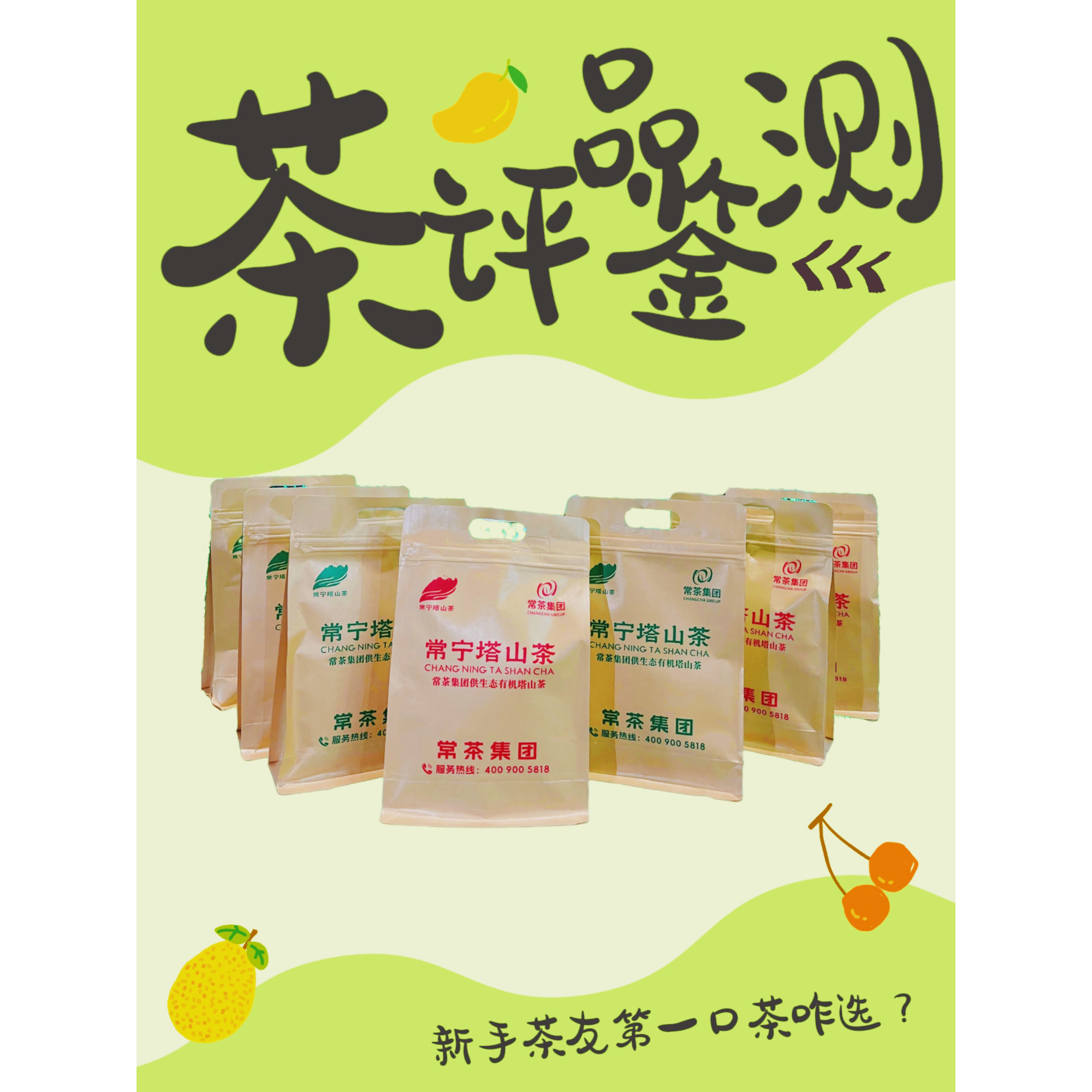 常宁塔山茶明前茶 2025新茶春茶散装茶叶高山云雾茶 常茶集团官方