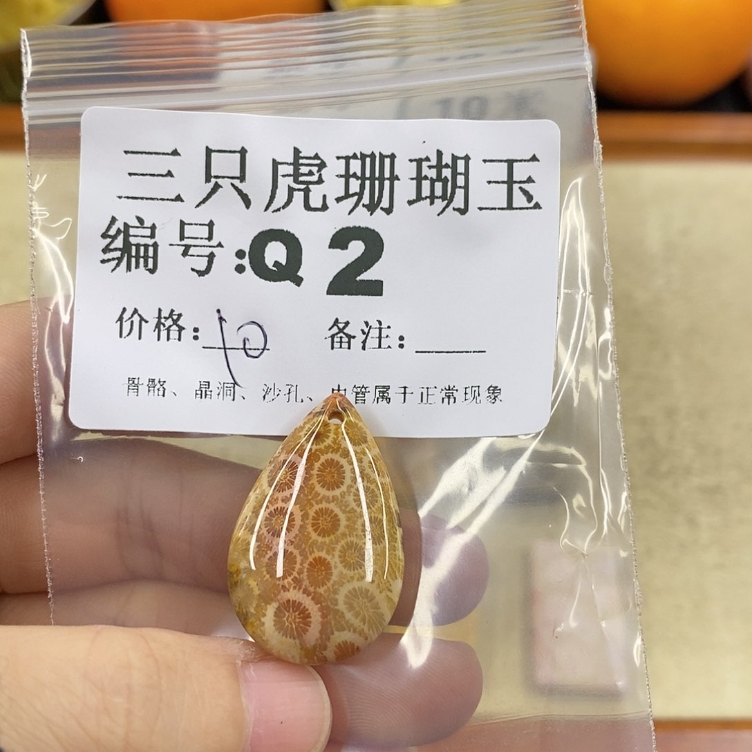 硅化珊瑚（珊瑚玉）1未镶嵌诉*